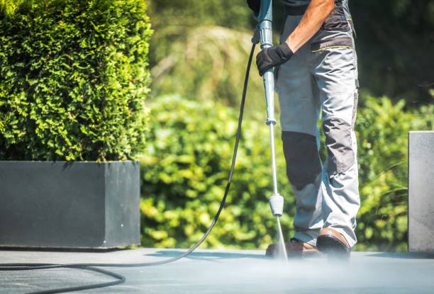 Best Spring Cleaning  in Wauseon, OH