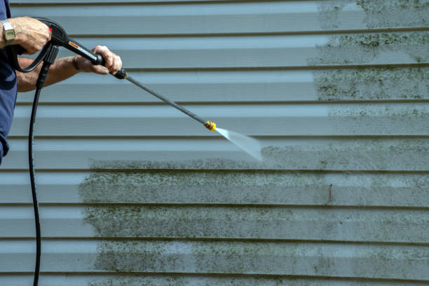 Best Solar Panel Cleaning  in Wauseon, OH